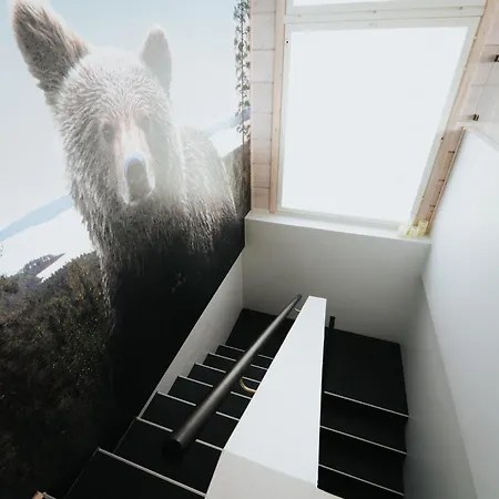 Riihikarhu A Βίλα